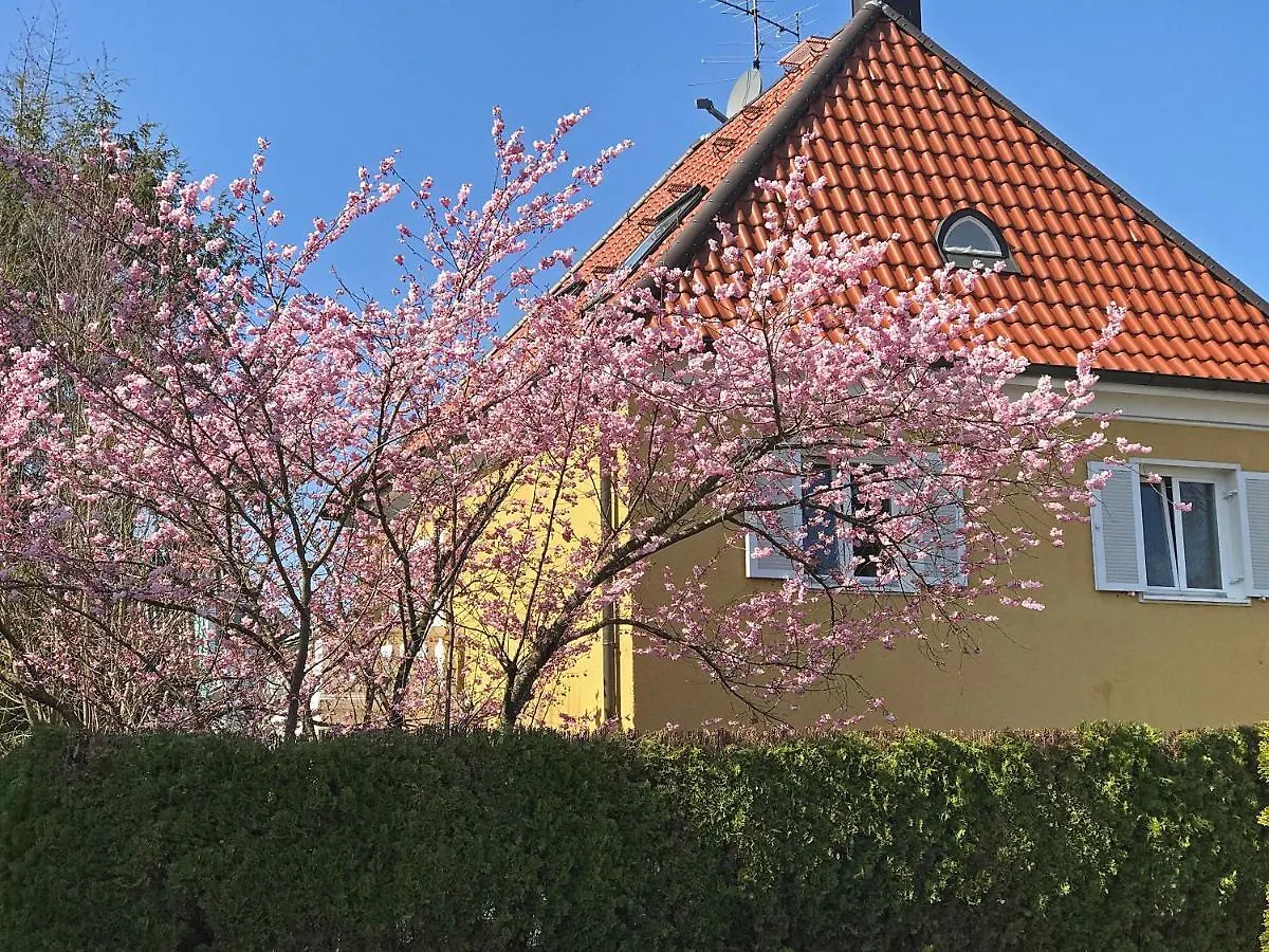 Lion Homestay Munich